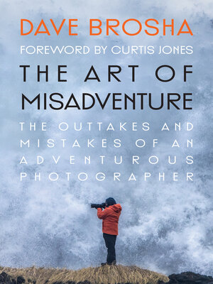 cover image of The Art of Misadventure